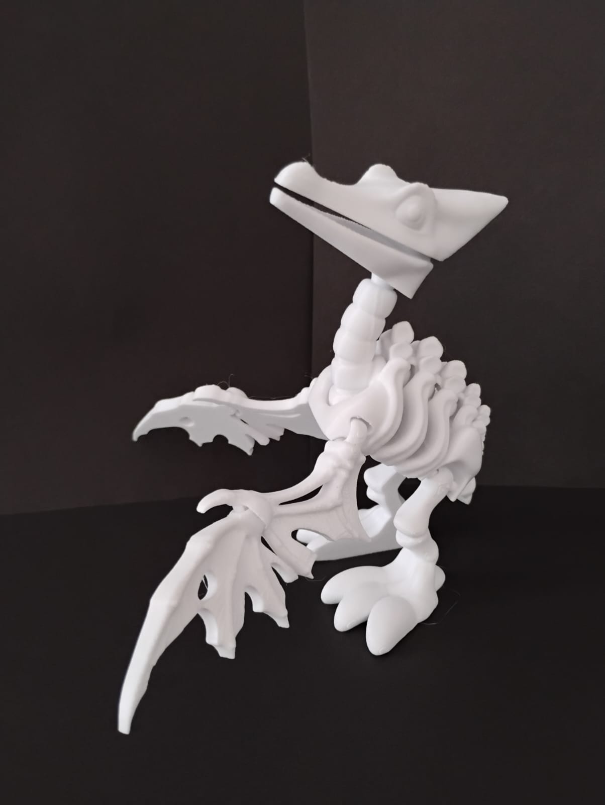 Pteranodonte Esquelético Articulado