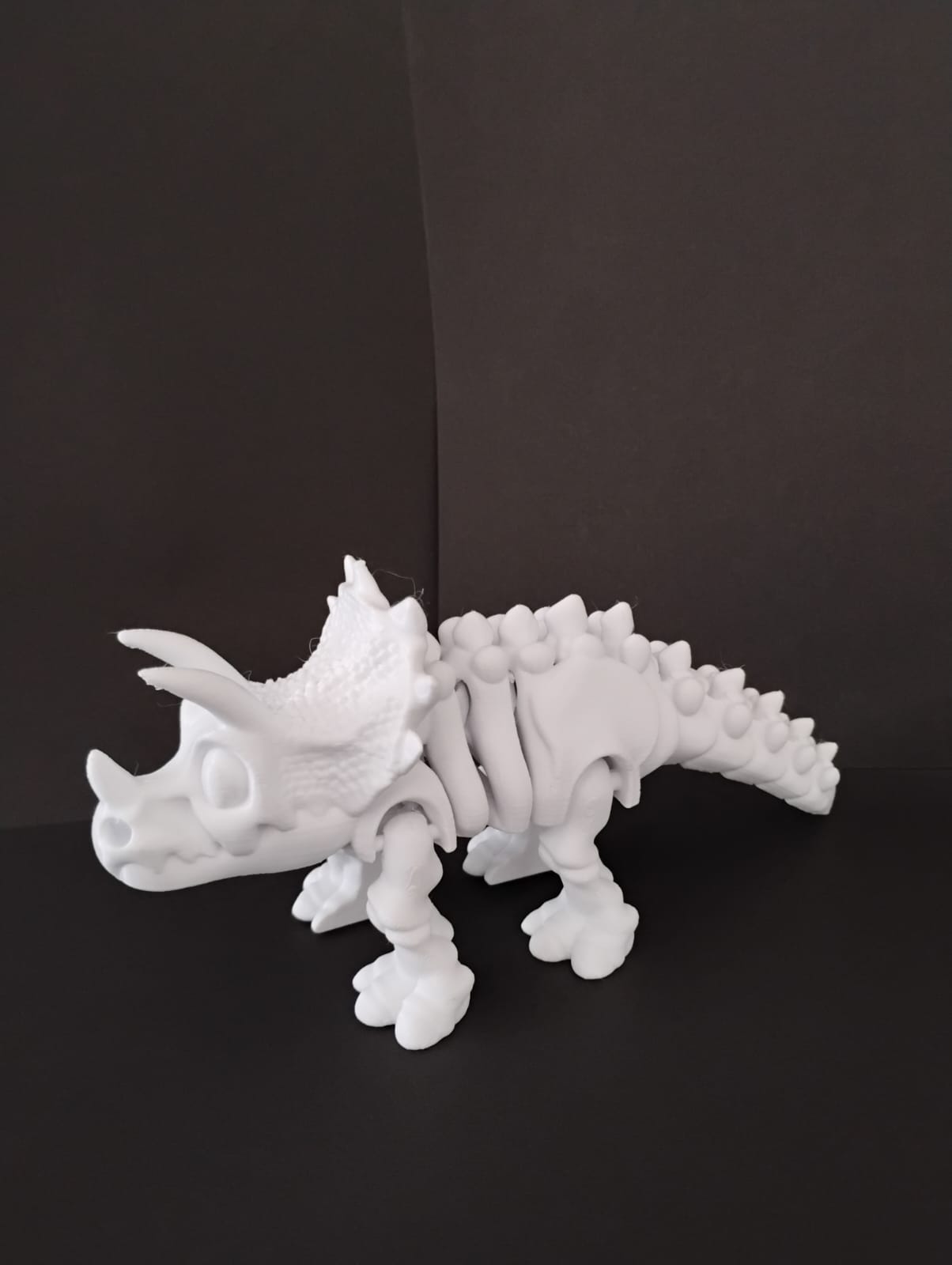 Triceratops Esquelético Articulado